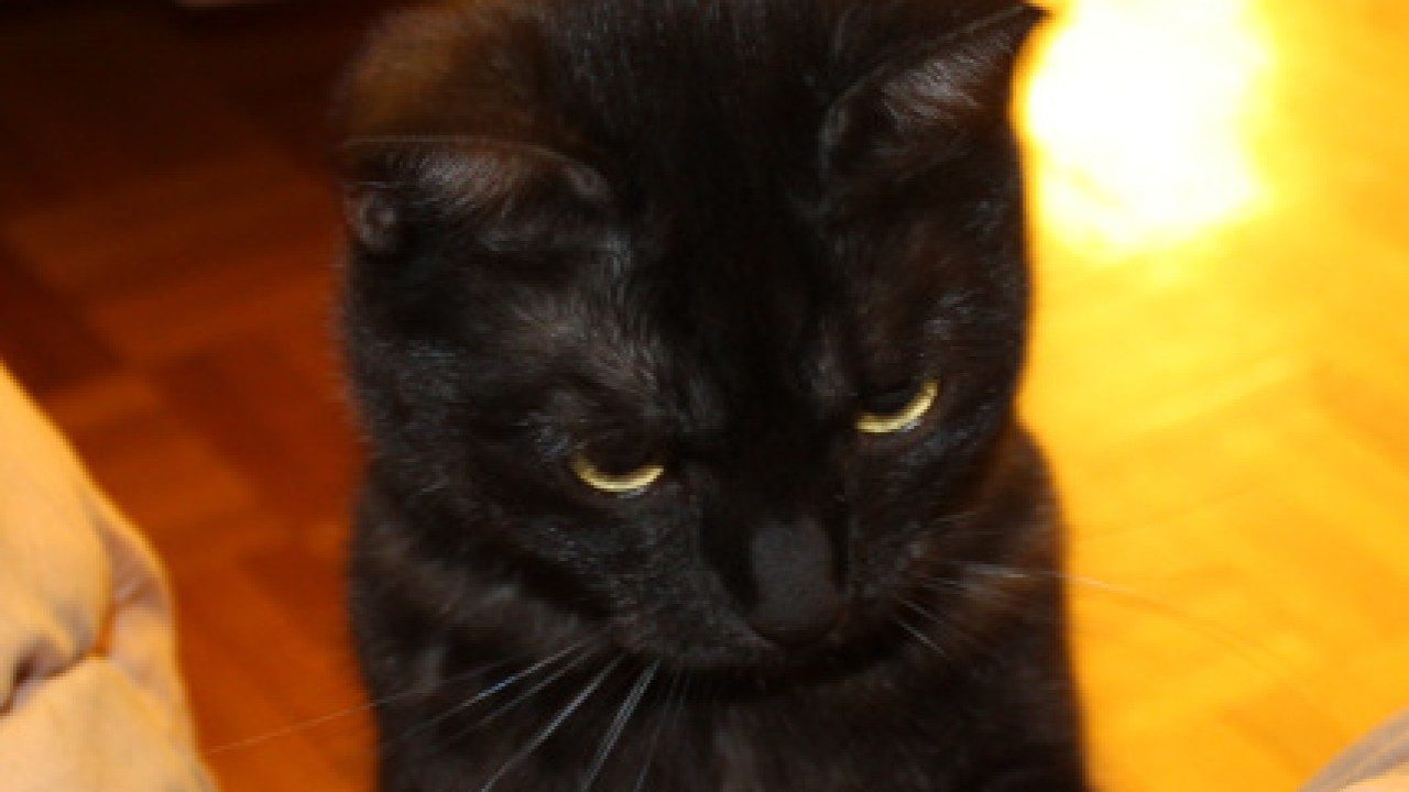 Iooma