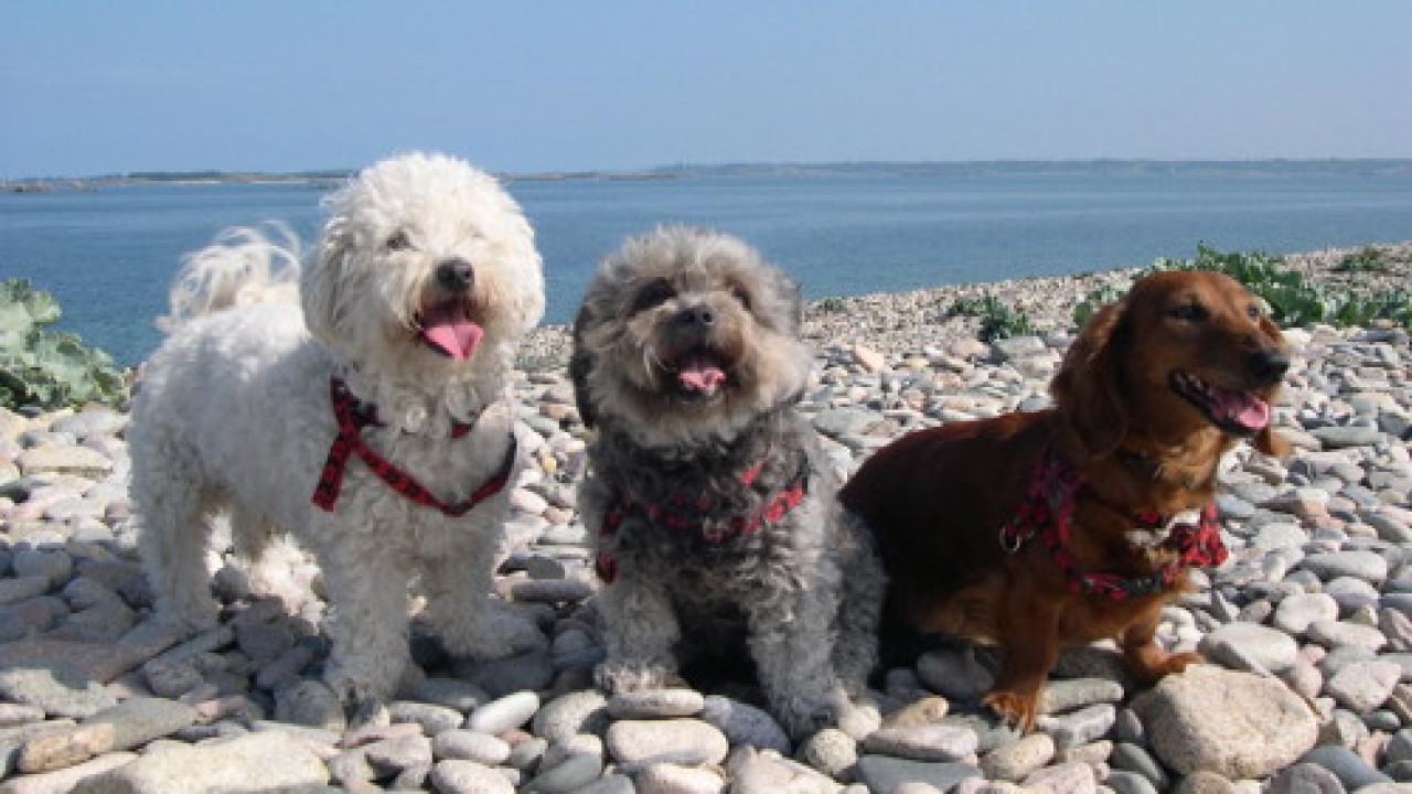 Revlon, Naomi et Lilly